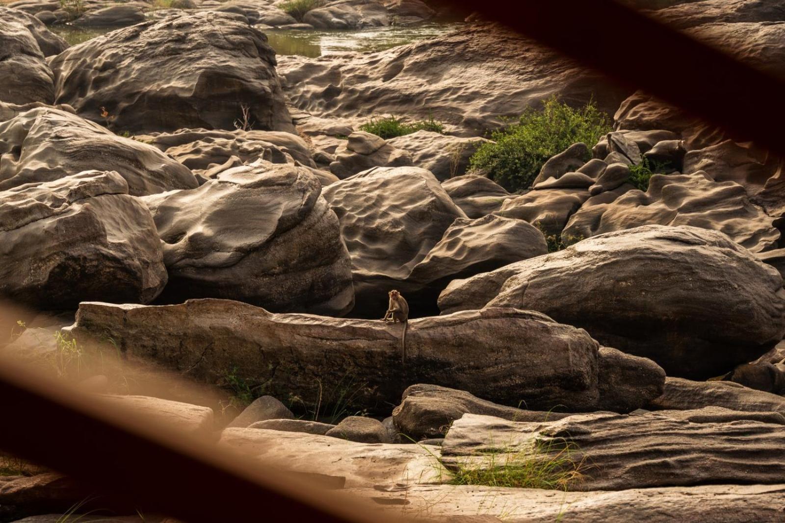 Hotel Leo Woods Hampi River View Esterno foto